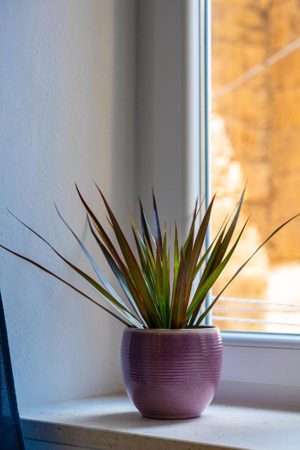 קורצולה Apartment Rose מראה חיצוני תמונה
